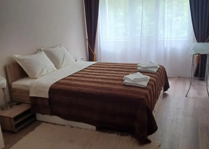 Comfort Near The 公寓 *