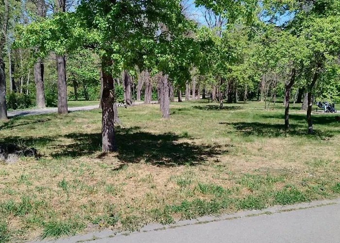 Comfort Near The Apartament Varna