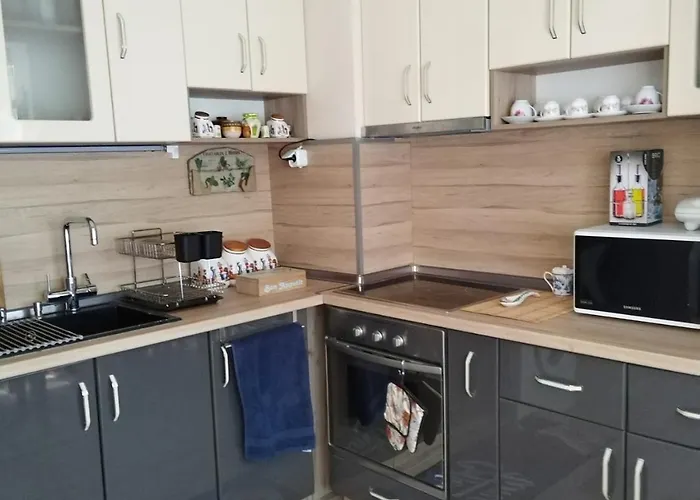 Apartment Comfort Near The