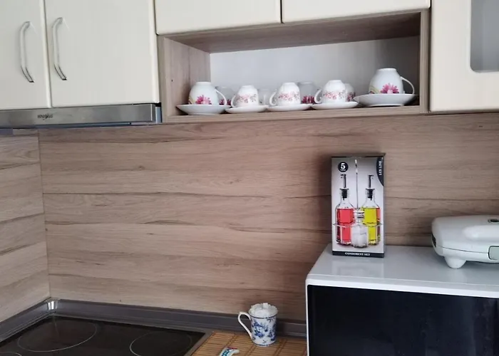 Apartment Comfort Near The